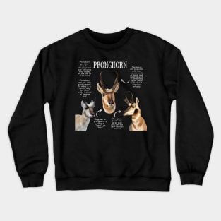 Animal Facts - Pronghorn Crewneck Sweatshirt